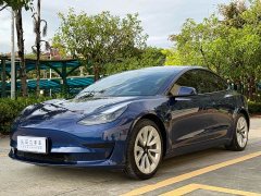 Tesla Model 3 Standard Range RWD Upgrade - ფოტო 1
