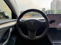 Tesla Model 3 Standard Range RWD Upgrade - ფოტო 7
