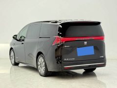 Buick Zhijing Shijia Luxury Edition - ფოტო 2