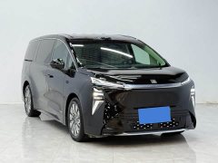Buick Zhijing Shijia Luxury Edition - ფოტო 6