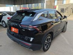 Jetour Jietu Dasheng 2025 1.5T DCT Luxury - ფოტო 2