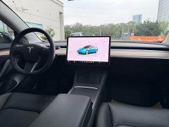 Tesla Model 3 2022 Rear-Wheel Drive - ფოტო 8