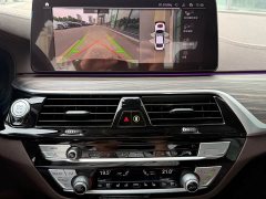 BMW 5 Series 530Li Luxury Edition Premium Package - ფოტო 10