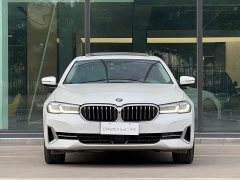 BMW 5 Series 530Li Luxury Edition Premium Package - ფოტო 17