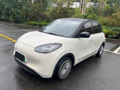 Wuling Binguo 333km Lingxi Connected Plus - ფოტო 1