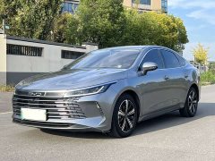 BYD Destroyer 05 DM-i 55KM Luxury - ფოტო 1
