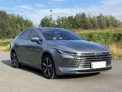 BYD Destroyer 05 DM-i 55KM Luxury - ფოტო 3