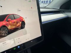 Tesla Model Y Rear-Wheel Drive - ფოტო 8