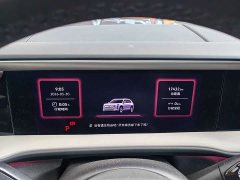 Volkswagen Teramont Pro 450TSI AWD Summit Edition - ფოტო 7