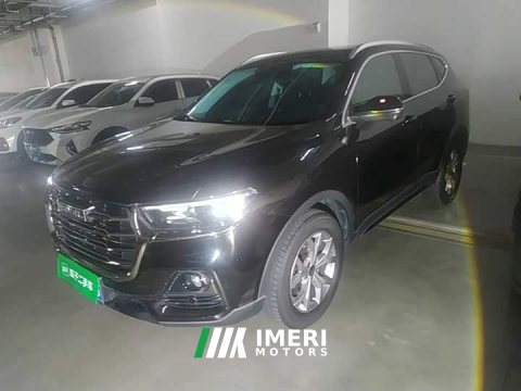 2021 Haval H6 National Trend 1.5GDIT Automatic Champion Edition - ავტომობილი ჩინეთიდან
