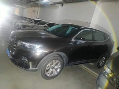 Haval H6 National Trend 1.5GDIT Automatic Champion Edition - ფოტო 4