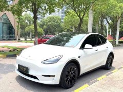 Tesla Model Y Long Range All-Wheel Drive - ფოტო 1