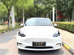Tesla Model Y Long Range All-Wheel Drive - ფოტო 2