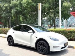Tesla Model Y Long Range All-Wheel Drive - ფოტო 3