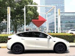 Tesla Model Y Long Range All-Wheel Drive - ფოტო 7