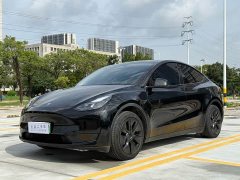 Tesla Model Y Rear-Wheel Drive - ფოტო 1