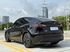 Tesla Model Y Rear-Wheel Drive - ფოტო 12