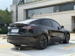 Tesla Model Y Rear-Wheel Drive - ფოტო 14