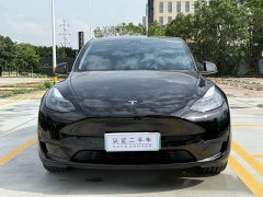 Tesla Model Y Rear-Wheel Drive - ფოტო 2