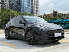 Tesla Model Y Rear-Wheel Drive - ფოტო 3