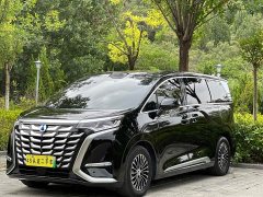 Denza BYD Denza D9 DM-i Smart Drive 1020 AWD Premium - ფოტო 1