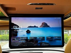 Denza BYD Denza D9 DM-i Smart Drive 1020 AWD Premium - ფოტო 20