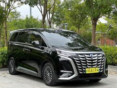 Denza BYD Denza D9 DM-i Smart Drive 1020 AWD Premium - ფოტო 3
