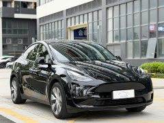 Tesla Model Y Standard Range RWD - ფოტო 3