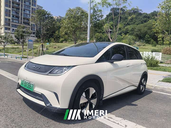 BYD Dolphin 2023 420km Fashion Edition - ავტომობილი ჩინეთიდან