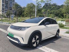 BYD Dolphin 2023 420km Fashion Edition - ფოტო 1