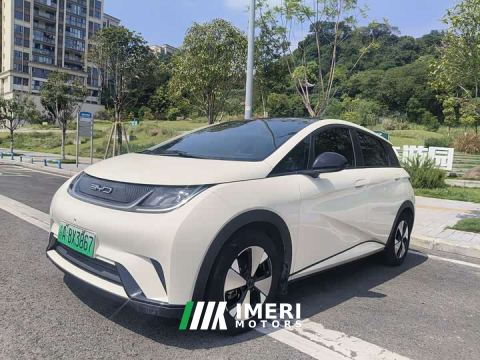 2024 BYD Dolphin 420km Fashion Edition