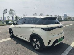 BYD Dolphin 2023 420km Fashion Edition - ფოტო 14