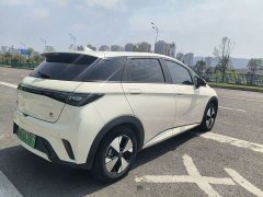BYD Dolphin 2023 420km Fashion Edition - ფოტო 16