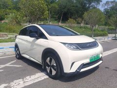 BYD Dolphin 2023 420km Fashion Edition - ფოტო 3
