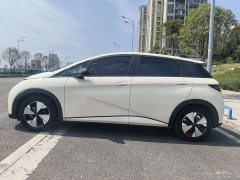 BYD Dolphin 2023 420km Fashion Edition - ფოტო 4