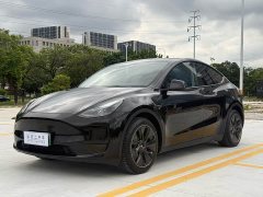 Tesla Model Y Rear-Wheel Drive - ფოტო 1