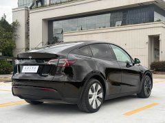 Tesla Model Y Rear-Wheel Drive - ფოტო 15