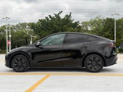 Tesla Model Y Rear-Wheel Drive - ფოტო 16