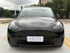 Tesla Model Y Rear-Wheel Drive - ფოტო 2