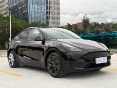 Tesla Model Y Rear-Wheel Drive - ფოტო 3