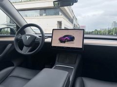 Tesla Model Y Rear-Wheel Drive - ფოტო 6