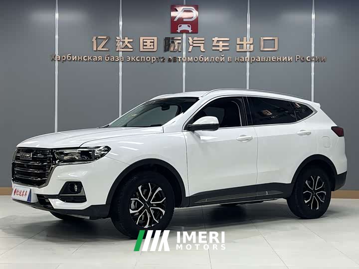 Haval H6 2021 National Trend Edition 1.5T Automatic Urban Version - ავტომობილი ჩინეთიდან