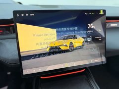 Lotus EMEYA 2025 600 Luxury - ფოტო 19