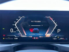 BMW 3 Series 320Li M Sport Package - ფოტო 13