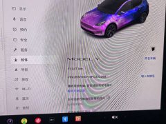 Tesla Model Y 2023 Rear-Wheel Drive - ფოტო 11