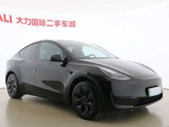 Tesla Model Y 2023 Rear-Wheel Drive - ფოტო 2