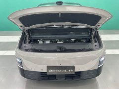 Li Auto Li Xiang MEGA Ultra - ფოტო 10
