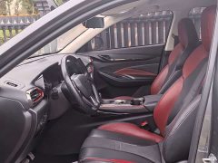 Changan Oushan X5 1.6L CVT Luxury - ფოტო 10