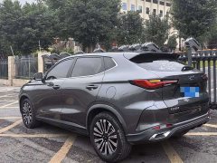 Changan Oushan X5 1.6L CVT Luxury - ფოტო 16