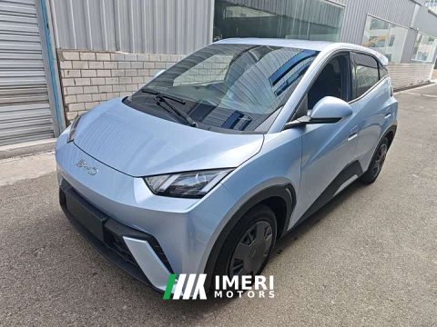 2024 BYD Seagull 2025 305km Vitality Edition - ავტომობილი ჩინეთიდან